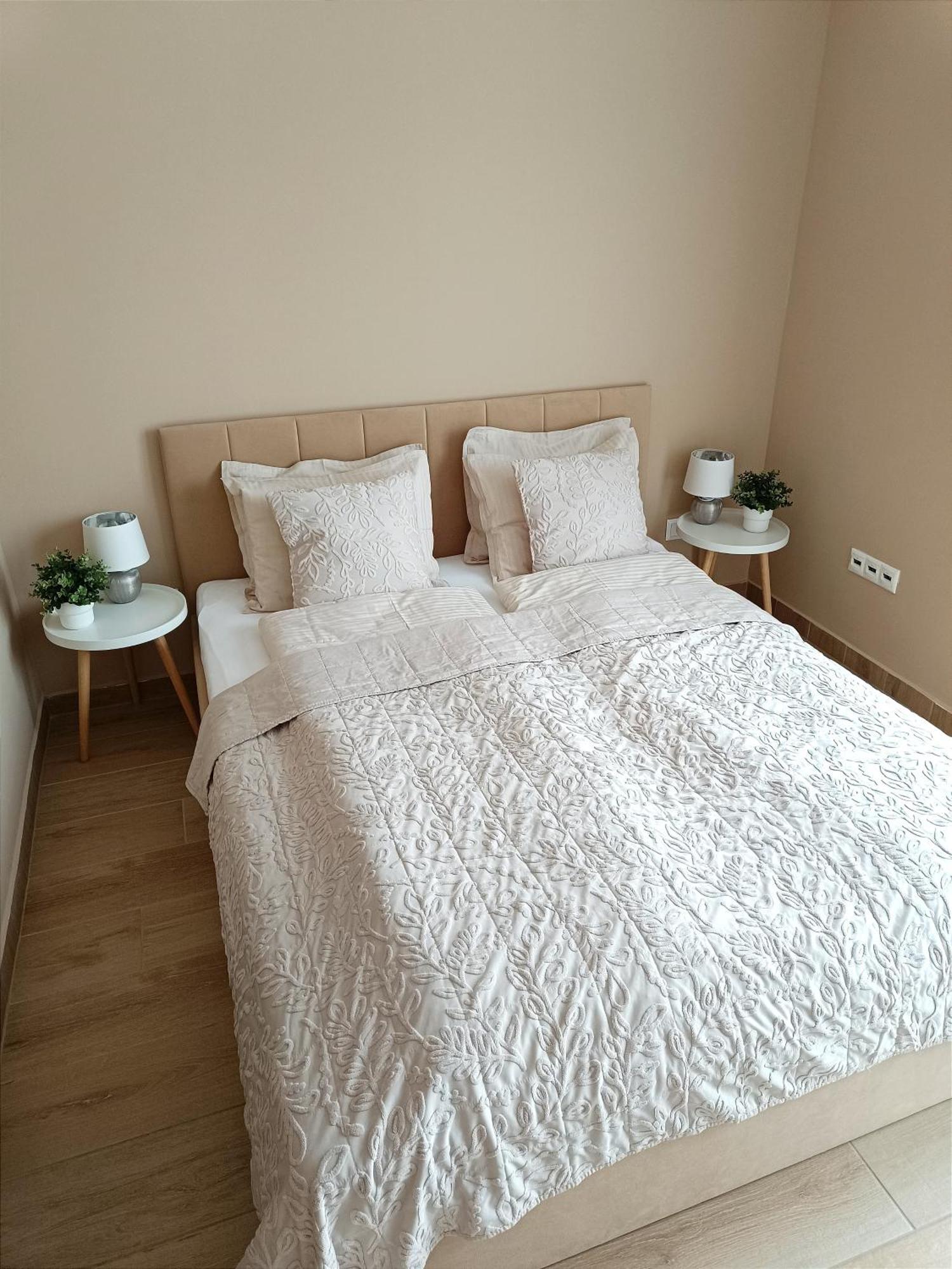 Modern Lux Home 세게드 외부 사진